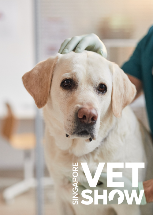 White spots on the lungs: Decoding canine cancer (SVS25)