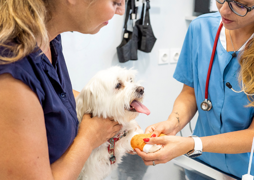 The importance of always looking at a blood film