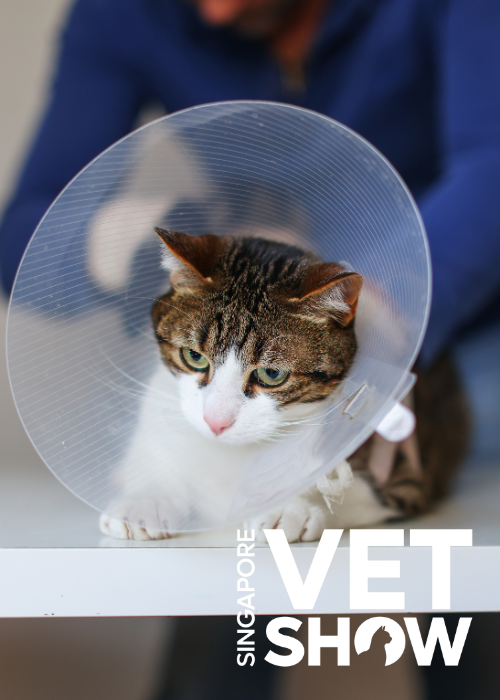 Medical Mystery Tour (SVS25)