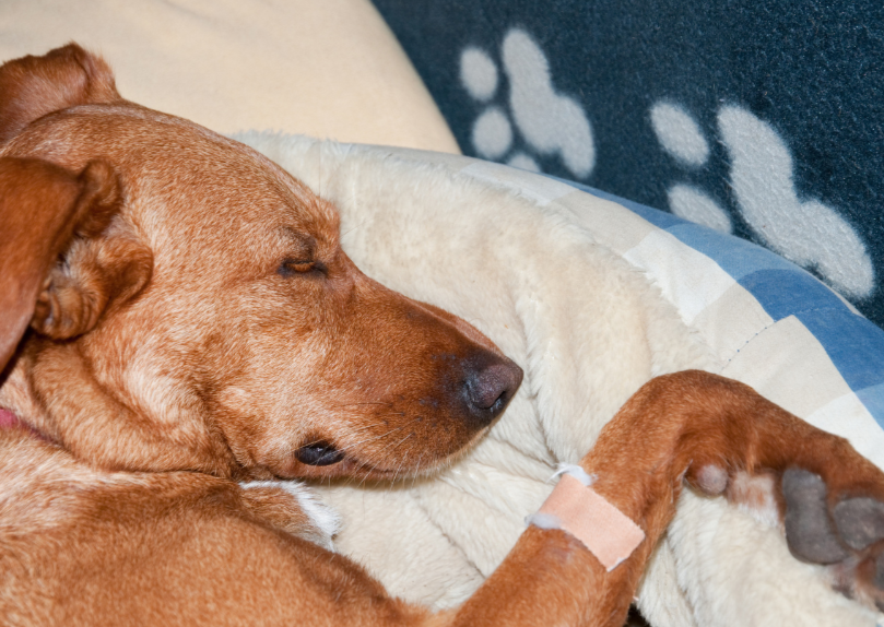 Top tips for the general practice oncologist