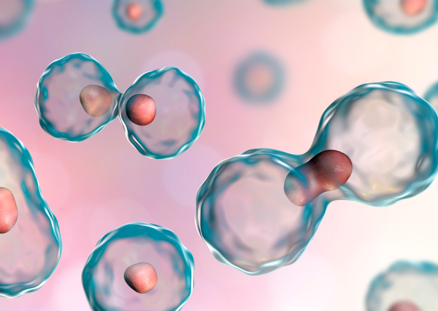 Practical tips on how to get the most out of cytology