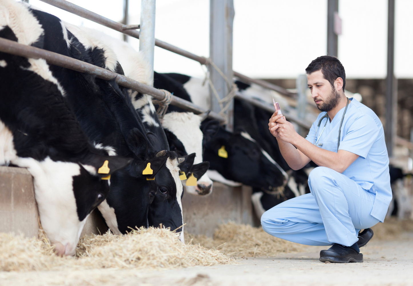 Livestock Die-agnostics: When and what to sample in cattle and sheep post mortem examination