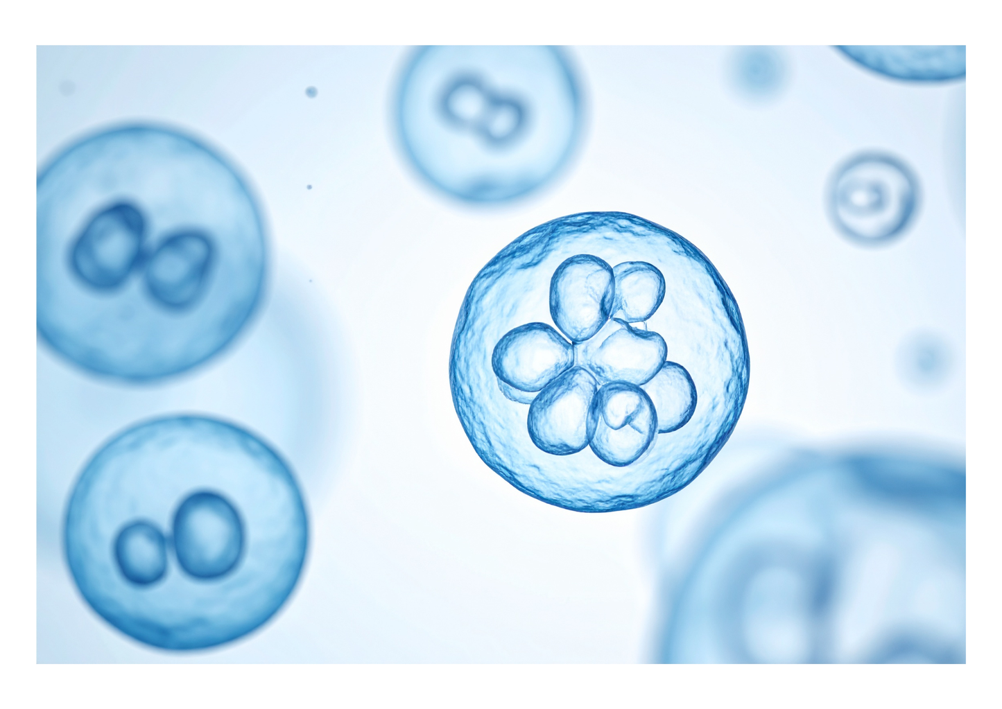 The what, why, and how of stem cell therapy for canine arthritis: A practical guide for vets (LVS25)