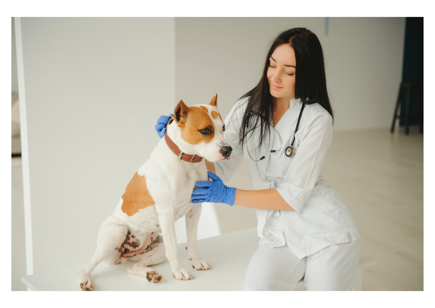 20 dogs in your waiting room with lumps and bumps - how do you spot the 3 with cancer? (LVS25)