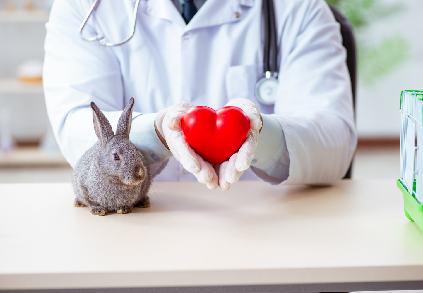 Acute heart failure management
