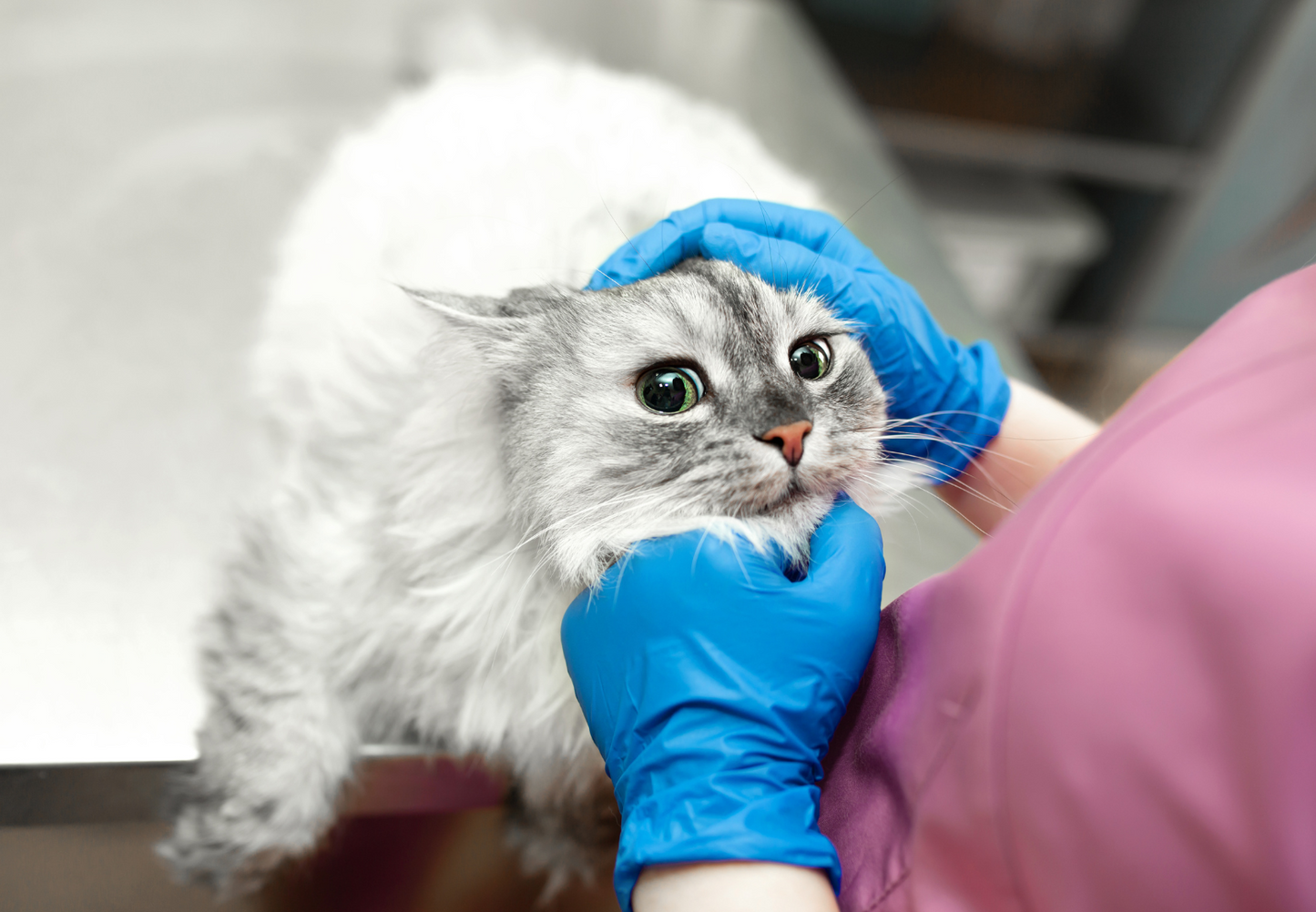 Having the end in mind in epilepsy management