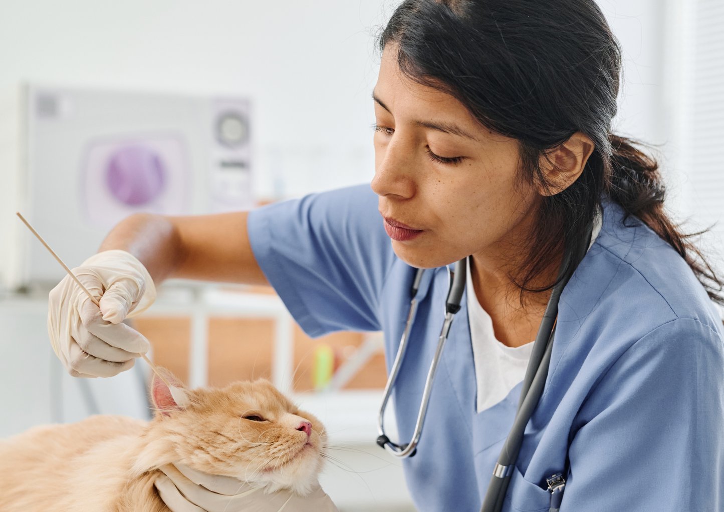 Mucky ears, swabs and smears: A guide to interpreting diagnostics for otitis externa