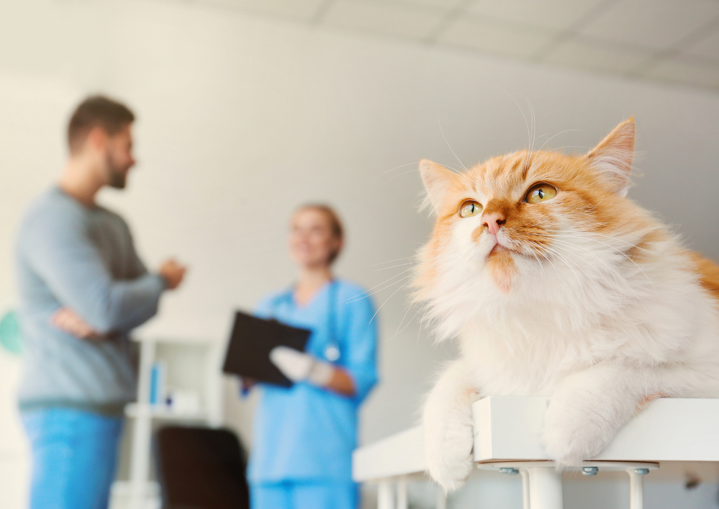 Next generation haematology with AI powered CBC analysis: A case-based review