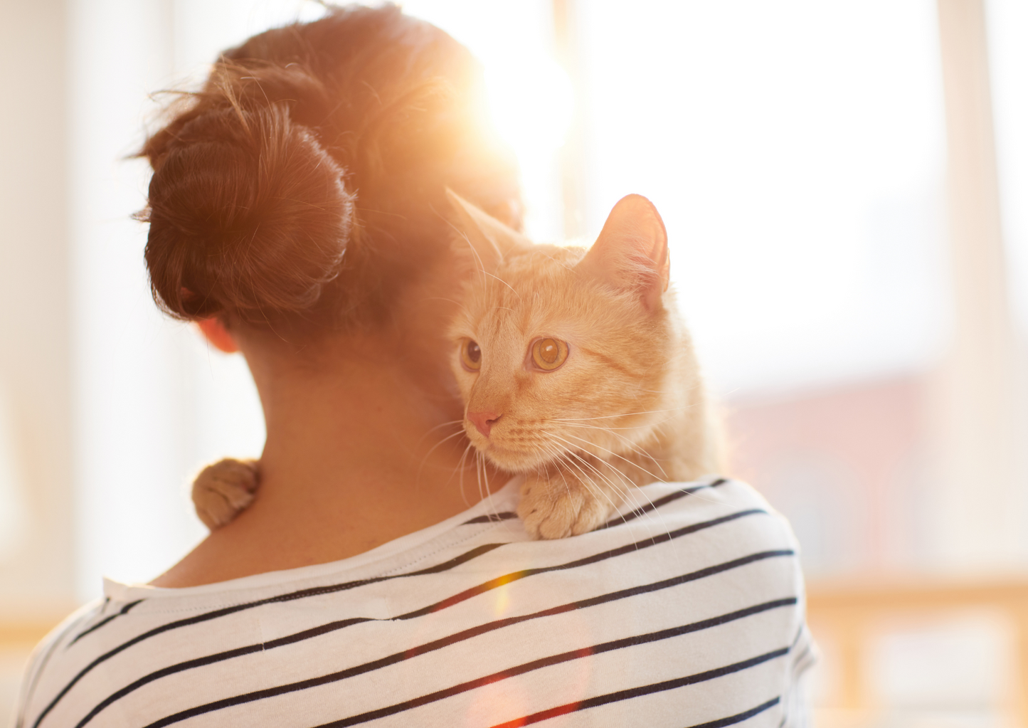 Caregiver burden or not? Owners' perspectives on managing hyperthyroidism in their cat.