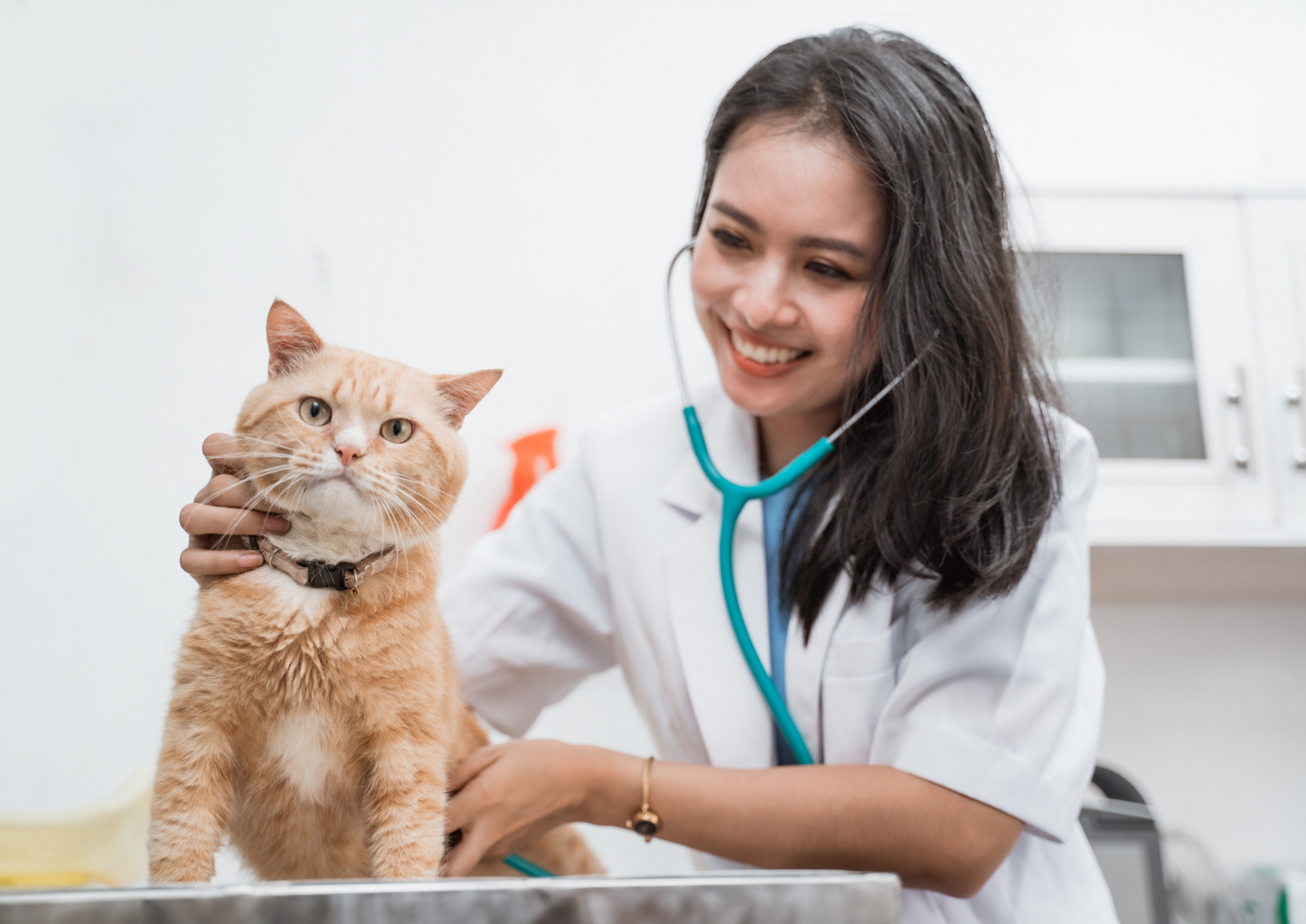 Go with the flow: Practical fluid therapy in the emergency patient