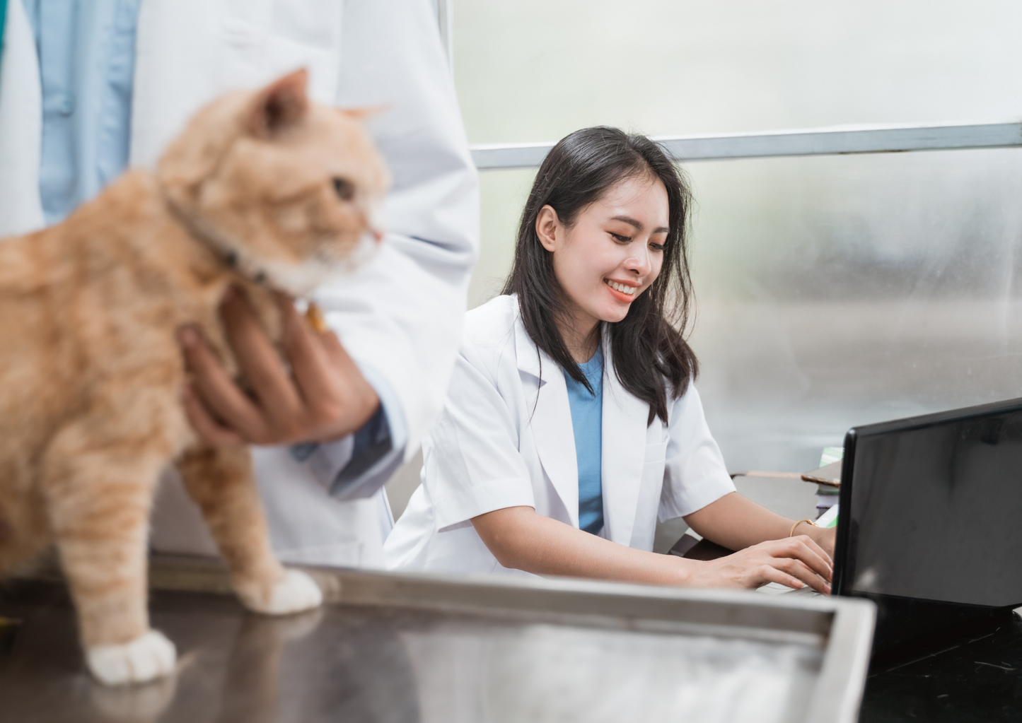 Cats are not small dogs: The unique challenge of antibiotic therapy in cats