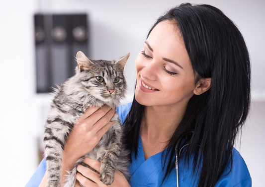Challenges in diagnosing and treating feline pancreatitis: what is the evidence?