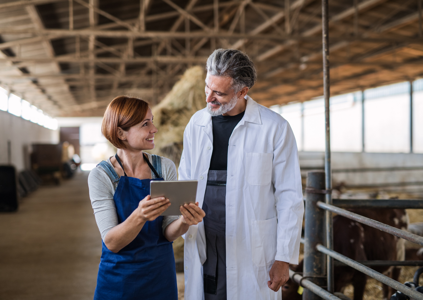 CHeCS: What’s my role and what might trip me up?