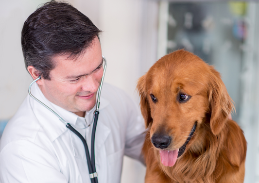 Seizures or Syncope – An Insight