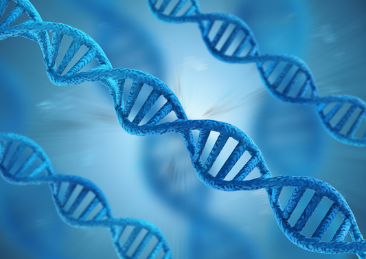 Creating 'perfect' animals: Exploring the ethical questions around gene-editing