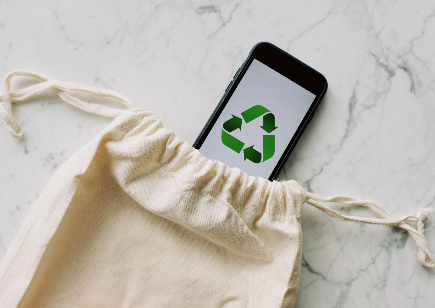 Creating a circular veterinary profession