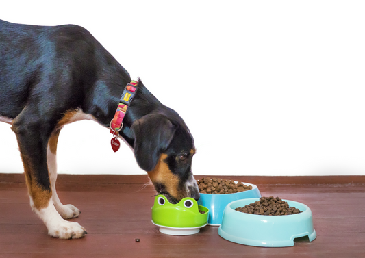 Processed with Purpose: Unpacking the pet food debate
