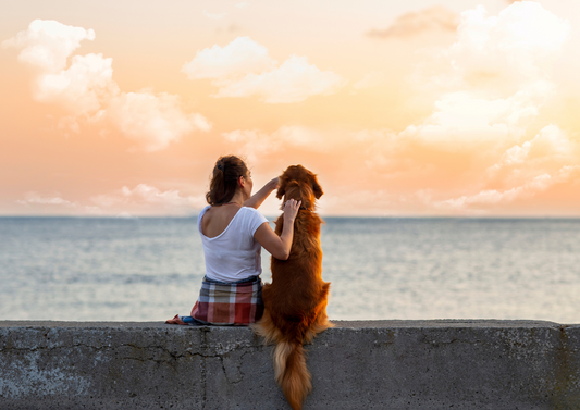 Interpreting Results, Reading Emotions - Discussing Nu.Q® Vet Cancer Test Results with Pet Owners