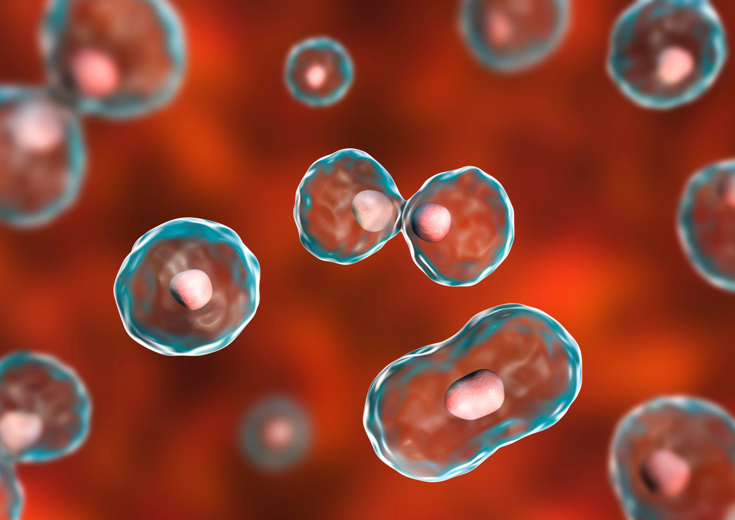 Any species, any sample, any time…how digital cytology can transform your lab practices