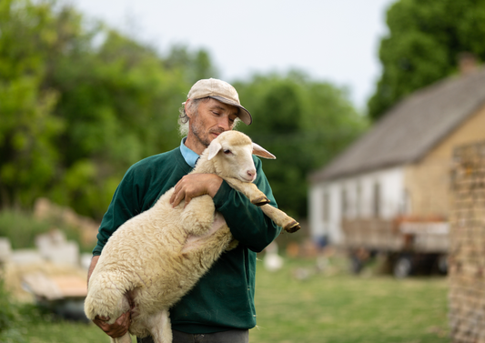 Dealing with sheep farmers: Disease, data and difficult decisions
