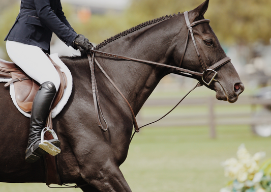 Emergencies and injuries in the competition horse