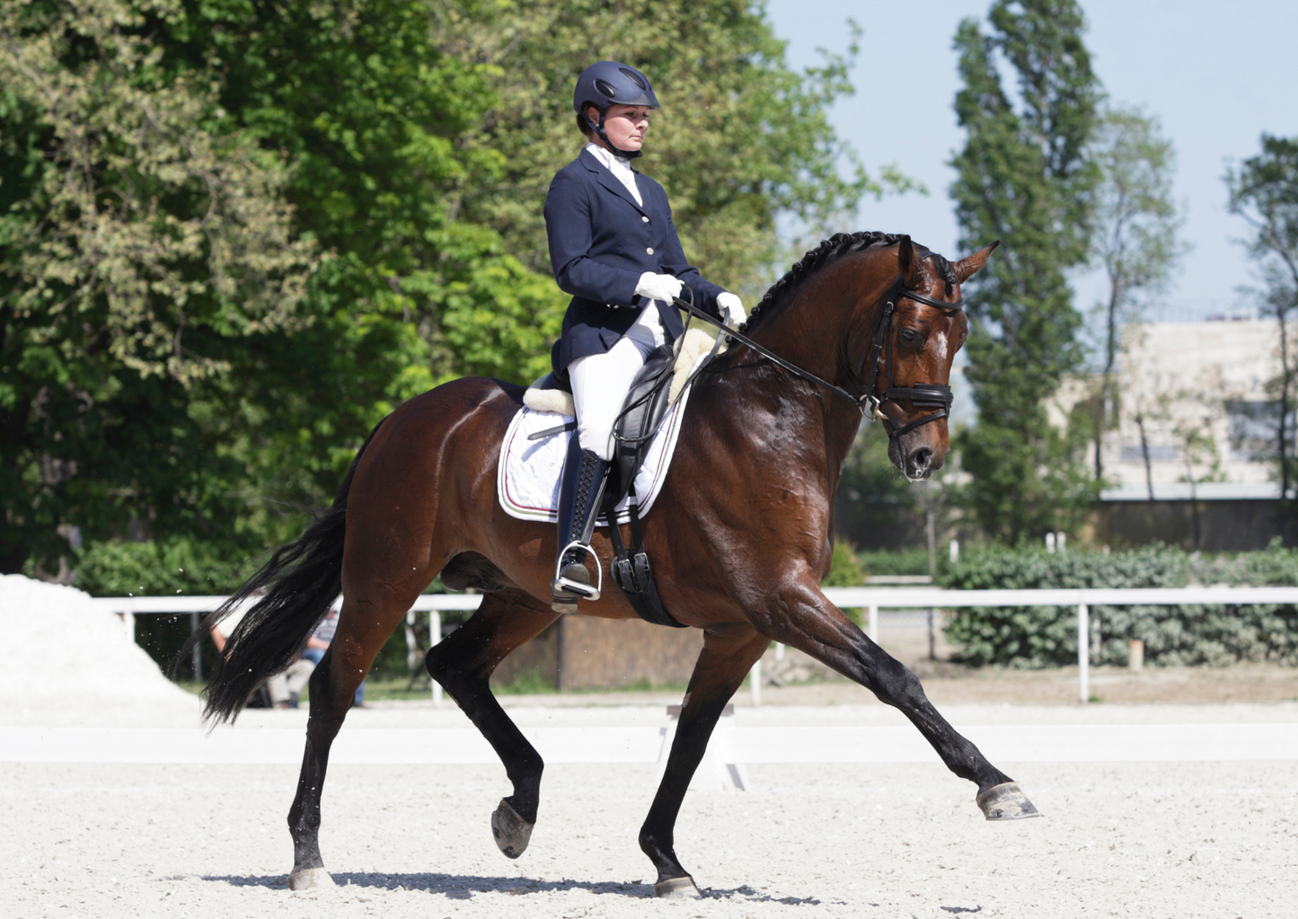 Don't get caught out: Treating horses in line with doping regulations (LVS 2024)