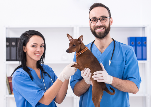 We don't just have to be feline friendly? What about dog friendly practice?