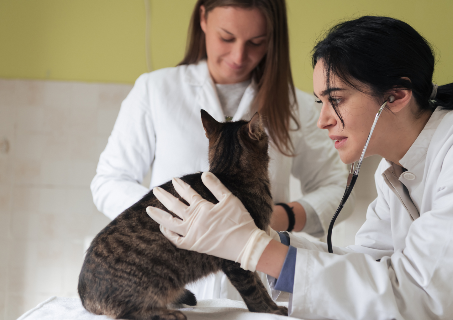 ‘test something, no, test EVERYTHING…..STAT!’ choosing and interpreting useful diagnostics in the emergency patient