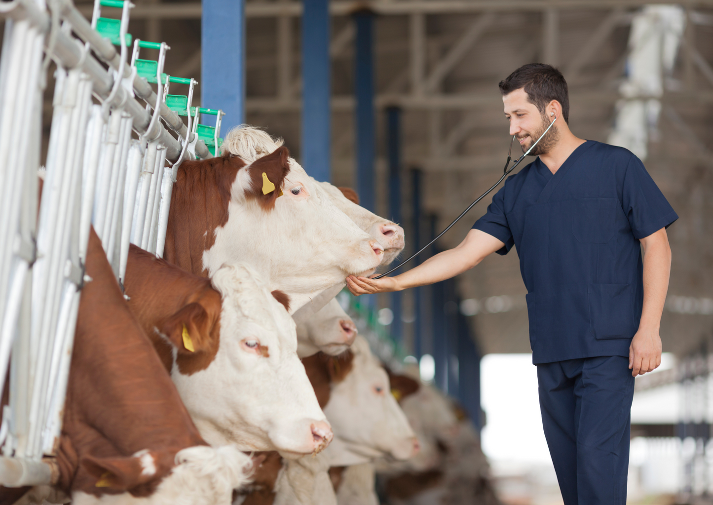 Farm EMS: We can do better