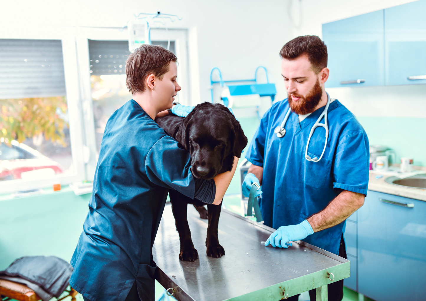 Mobility neurology in primary care: When referral is not an option (LVS25)