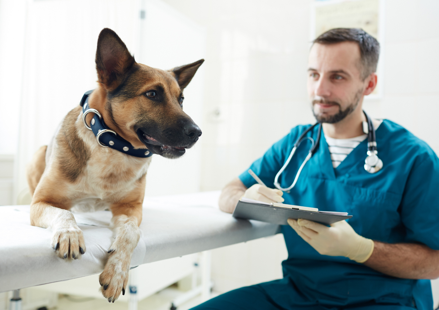 Top tips: How to do a decent orthopaedic exam in a 15 minute consult (LVS25)