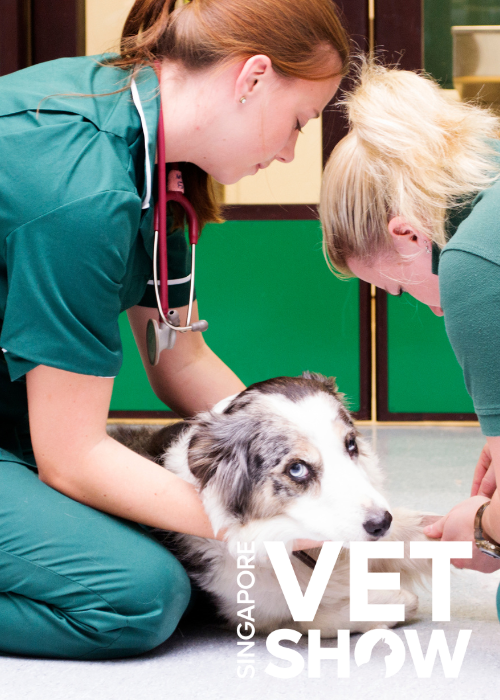 We should give less antibiotics, but where is this safe in Soft Tissue surgery? (SVS25)