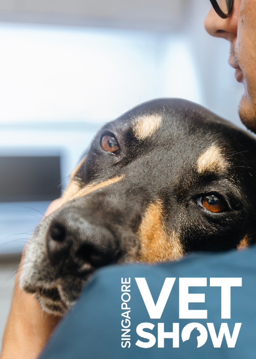 Head and neck pain in dogs – diagnosis and treatment (SVS25)