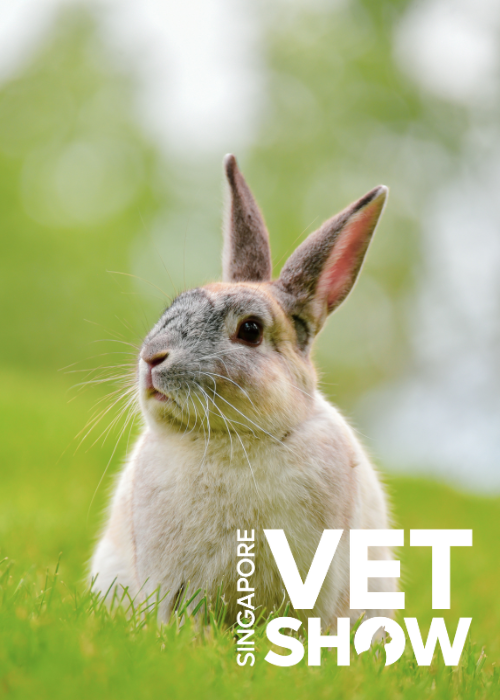 Desexing Small Mammals; Pros, Cons and Techniques (SVS2024)