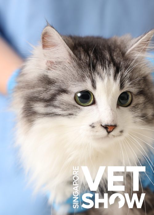 To test or not to test? Why blood tests don’t always tell the full story (SVS25)