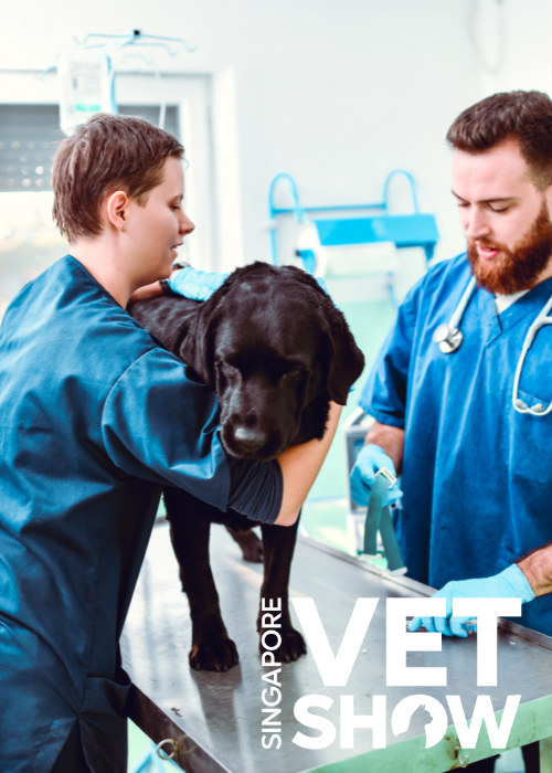 Beyond Notes: Should We Trust AI With Clinical Decision-Making? (SVS25)