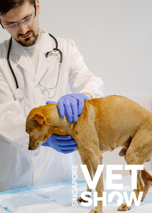 Beecroft's: From Mobile Surgery to 24/7 – Building a Resilient Vet Business in Singapore (SVS25)