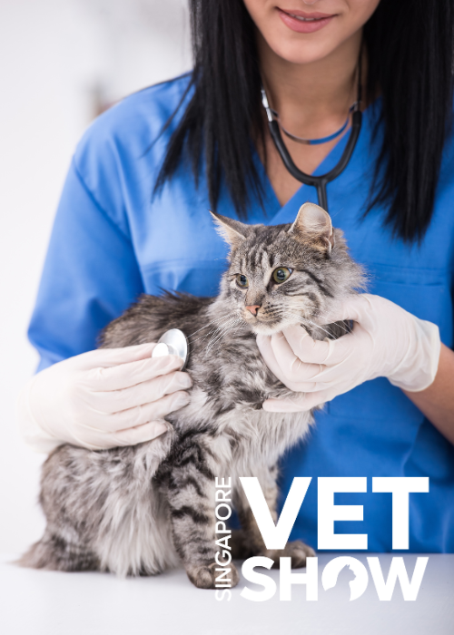 Feline Hyperthyroidism, What Works and What Doesn’t Work in Diagnosis and Treatment (SVS2024)