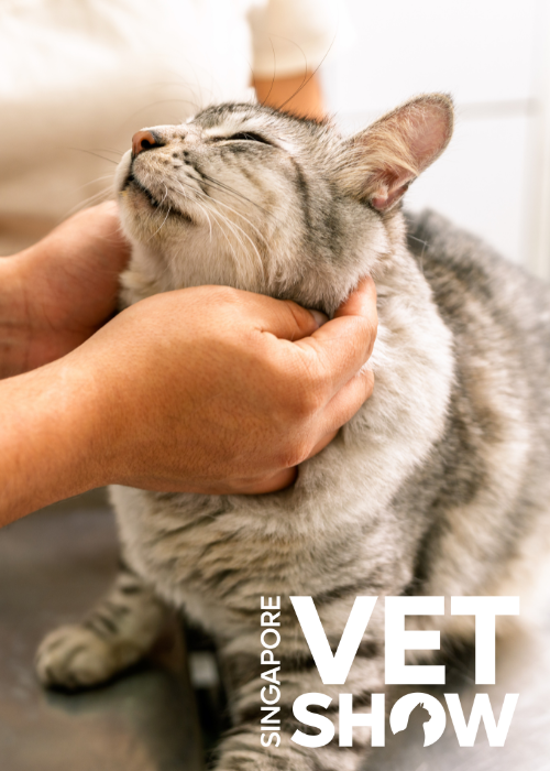 PANEL: The Future of Veterinary Medicine in APAC: Trends, Technology, and Transformation (SVS25)