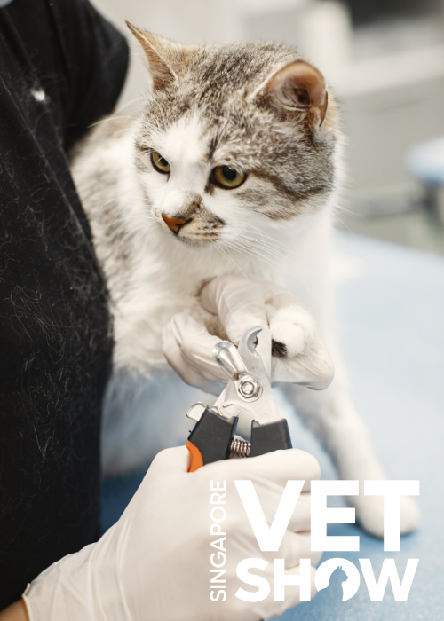 Nova Vet Family: Elevating Veterinary Care with Intelligent Tools and Powerful Services (SVS25)