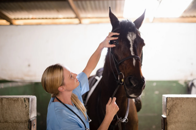 Endocrine overload: Practical strategies for managing PPID, EMS and the grey zone in between (LVS25)
