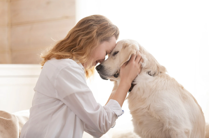 StreetVet: Never underestimate the power of pets (LVS25)