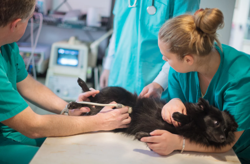 Nurse led dentistry: A day in the life of a dental RVN