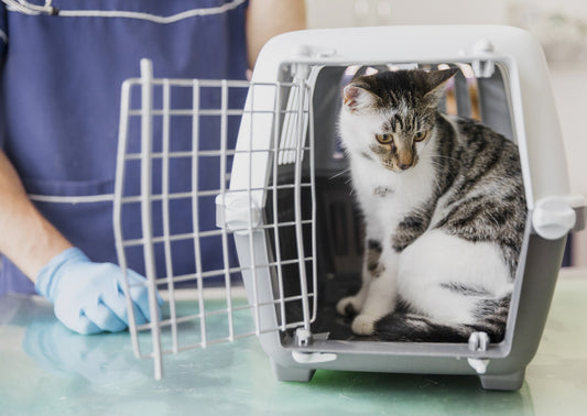 Le client n’a pas toujours raison : éthique commerciale et professionnelle