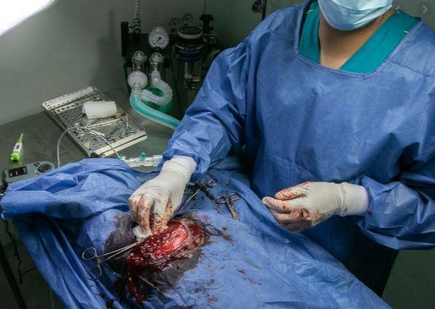 Old and New Thoughts on Surgical Site Infections