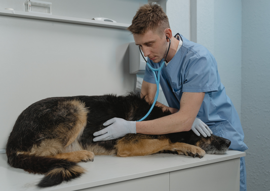 Anaesthesia for the patient with cardiac disease