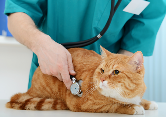 Anaesthesia for the patient with respiratory disease