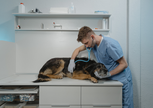 Anaesthesia for the patient with hepatobiliary disease