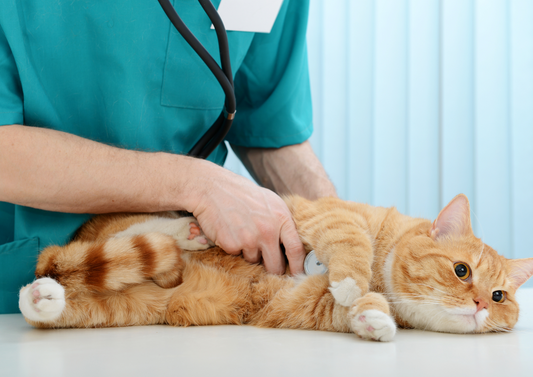 Anaesthesia for the patient with renal disease