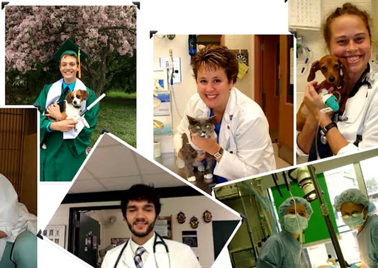 Dix conseils pour devenir un meilleur chirurgien